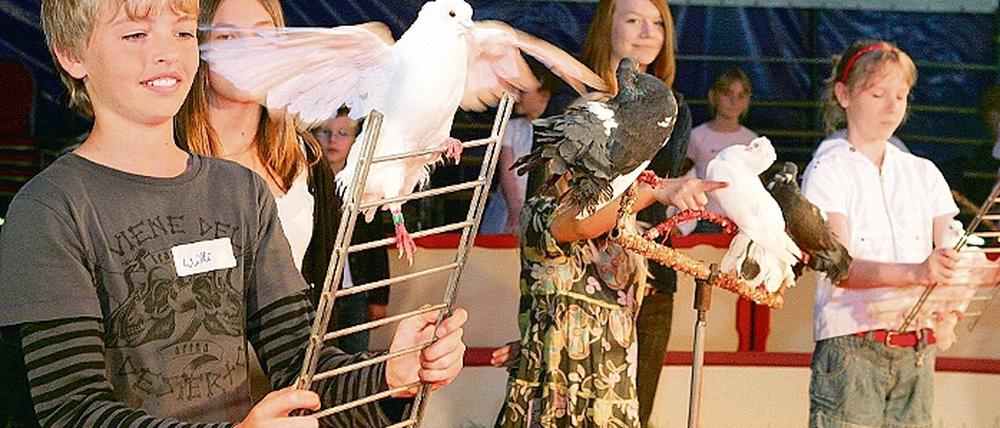 Willy und die Taube. Schüler der Eisenhart-Grundschule und des Froebel-Horts Sonnenschein üben für den großen Auftritt. Heute und morgen gibt es bereits Testvorstellungen, am Samstag findet die Premierenshow im Zelt am Treffpunkt Freizeit statt.
