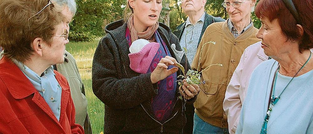 Schutzbedürftig. Franziska Hoehl zeigt in Sanssouci seltene Pflanzen.