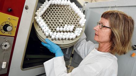 Gefährliche Brut. Im Brutschrank des Berliner Robert-Koch-Instituts werden Zellkulturen auf Influenza-Viren untersucht.