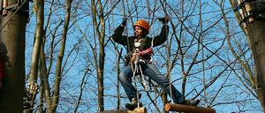 Konkurrenz für den Kletterwald auf dem Potsdamer Telegrafenberg (Foto): Nach dem Kletterwald in Klaistow soll als zweites Umlandprojekt nun einer im Stadtpark von Werder folgen.