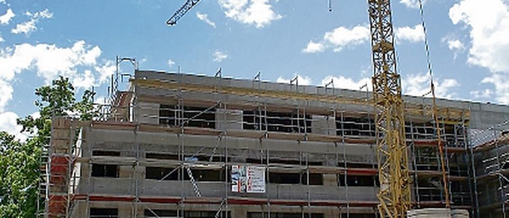 Blüten bei der Polizei. Die Baustelle des neuen Polizeipräsidiums.