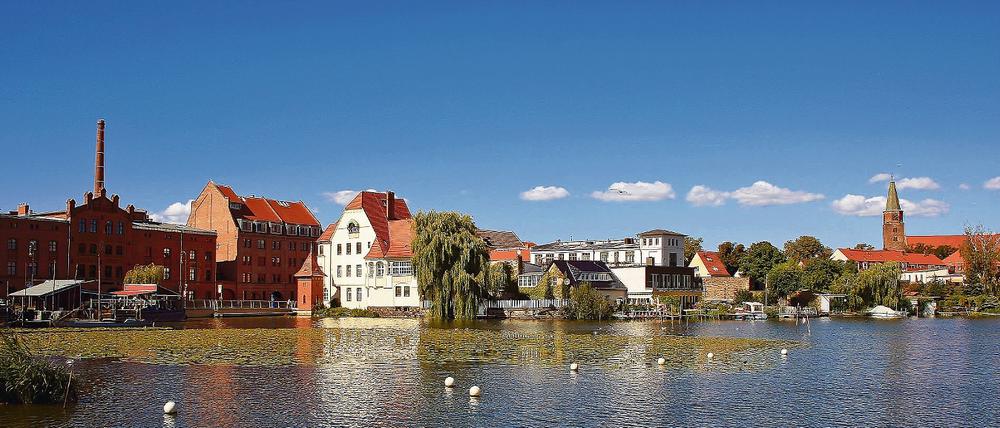 Blick auf den Dom in Brandenburg an der Havel.