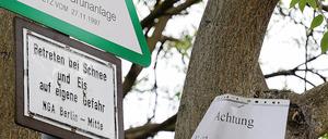 Vorsicht, Vogel. Das Bezirksamt ließ Zettel anbringen, die auf brütende, nicht aber auf angreifende Krähen hinweisen.