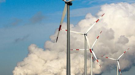 Platzmangel. Um seine Klimaziele erreichen zu können, muss Brandenburg die Fläche für Windkraftanlagen verdoppeln. 2020 sollen erneuerbare Energeien rund 20 Prozent am Gesamtverbrauch im Land ausmachen.