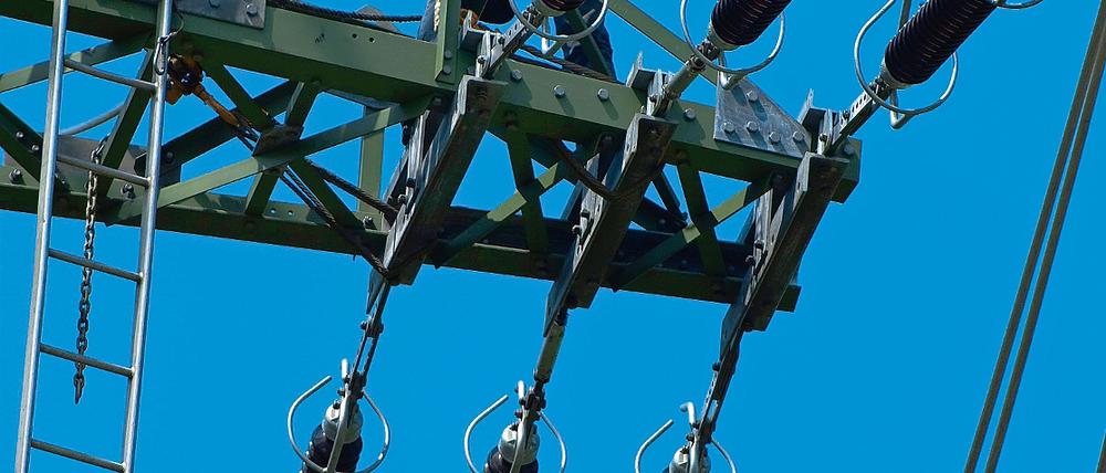 Todesfalle für Vögel? Die 115 Kilometer lange sogenannte Uckermarkleitung ist bei Umweltschützern und Anwohnern noch heftig umstritten.