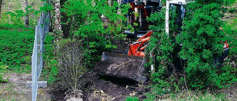 Seeanrainer bepflanzen bereits die Uferareale mit Hilfe von Baggern.