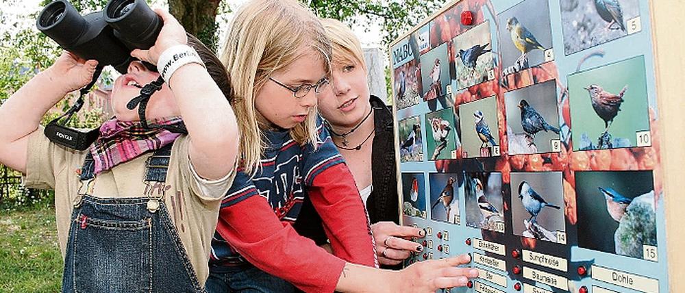 Kennt sich aus. Der zehnjährige Jonas Linke (Mitte) ist ein begeisterter Vogelbeobachter. Am Wochenende zählt er mit seiner Familie für den Nabu Gartenvögel.
