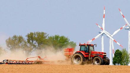 Staubtrocken. Seit Anfang April warten Brandenburgs Bauern auf Regen.