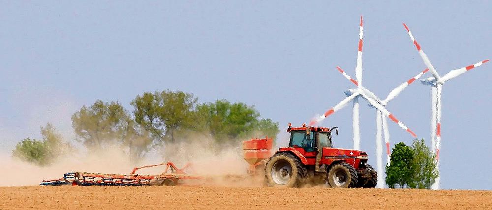 Staubtrocken. Seit Anfang April warten Brandenburgs Bauern auf Regen.