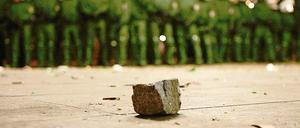 Pflasterstein des Anstoßes. Eine von einem Linken-Politiker angemeldete Demonstration artete am 1. Mai in Berlin-Kreuzberg in Gewalt aus.