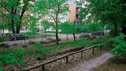 Lauschig gelegen sind die Forschungsgebäude auf dem Telegrafenberg. Hier versteckt sich das GeoForschungsZentrum hinter den Bäumen im Wald. Genau an dieser Stelle will die Einrichtung drei Neubauten errichten, um den Platzbedarf zu decken.