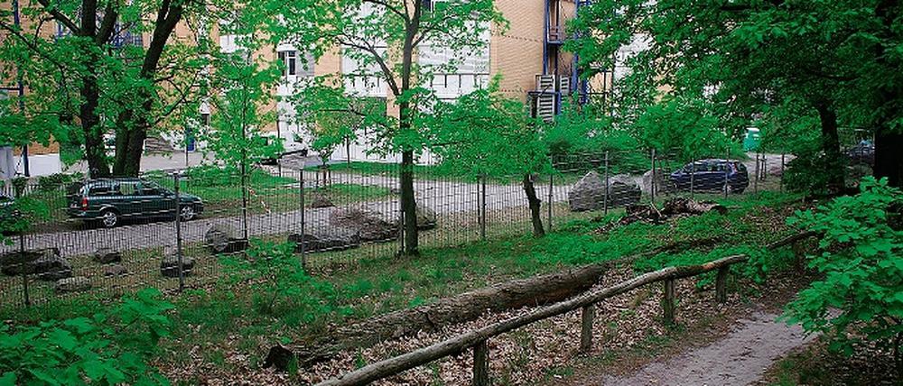 Lauschig gelegen sind die Forschungsgebäude auf dem Telegrafenberg. Hier versteckt sich das GeoForschungsZentrum hinter den Bäumen im Wald. Genau an dieser Stelle will die Einrichtung drei Neubauten errichten, um den Platzbedarf zu decken.
