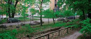 Lauschig gelegen sind die Forschungsgebäude auf dem Telegrafenberg. Hier versteckt sich das GeoForschungsZentrum hinter den Bäumen im Wald. Genau an dieser Stelle will die Einrichtung drei Neubauten errichten, um den Platzbedarf zu decken.