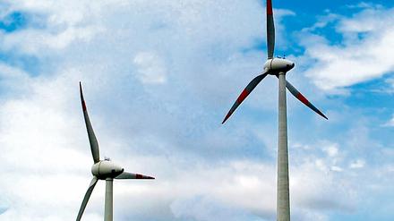 Ende 2008 gab es in Brandenburg 2644 Windenergieanlagen mit einer Gesamtkapazität von 3767 Megawatt. Damit deckt das Land mittlerweile 34 Prozent seines Nettostromverbrauchs mit der Windkraft.