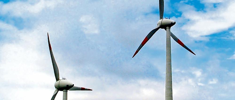 Ende 2008 gab es in Brandenburg 2644 Windenergieanlagen mit einer Gesamtkapazität von 3767 Megawatt. Damit deckt das Land mittlerweile 34 Prozent seines Nettostromverbrauchs mit der Windkraft.