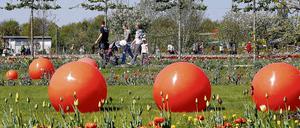 Unter dem Motto Traumlandschaften einer Kurfürstin wurde am Samstag die Landesgartenschau 2009 in Oranienburg eröffnet.