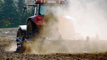 Staubige Angelegenheit. Trockenheitsresistente Pflanzen, Humusaufbau und Bodenbearbeitung werden für die hiesige Landwirtschaft zunehmend wichtig.