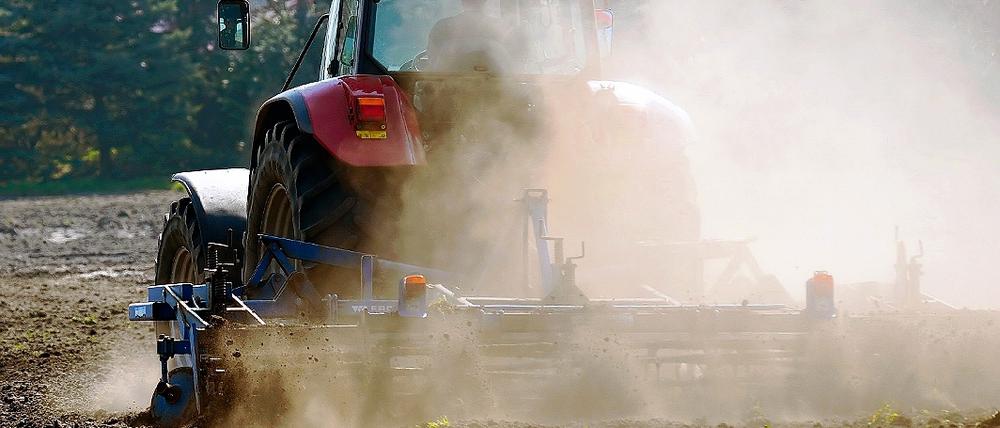 Staubige Angelegenheit. Trockenheitsresistente Pflanzen, Humusaufbau und Bodenbearbeitung werden für die hiesige Landwirtschaft zunehmend wichtig.