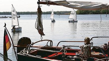 In den Optis. Der Segelnachwuchs startet am nächsten Wochenende.