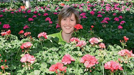 Die Zeit der Sommerblüher hat jetzt im Rosengut Langerwisch begonnen. Gute Tipps für Blumenfreunde gibt es gratis von Kati Bräutigam.