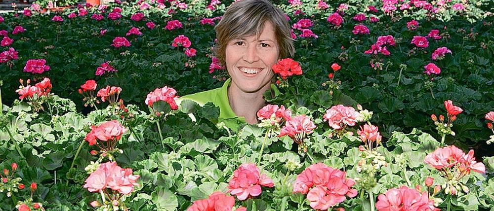 Die Zeit der Sommerblüher hat jetzt im Rosengut Langerwisch begonnen. Gute Tipps für Blumenfreunde gibt es gratis von Kati Bräutigam.