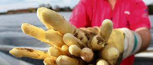 Zurück in der Mark: ein polnischer Saisonarbeiter in Klaistow.