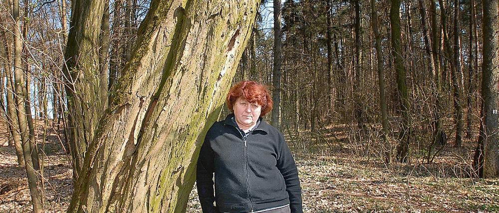 Das war ihr Wald. Ohne Mitteilung enteignete das Land das Grundstück von Margot Steinborn bei Müncheberg  sie wartet noch auf die Rückgabe.