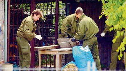 Der schlimmste Fall von Kindstötung in Brandenburg waren die neun toten Babys von Brieskow-Finkenheerd. Die Leichen der Neugeborenen waren im Juni 2005 auf einem Grundstück in dem Dorf bei Frankfurt (Oder) entdeckt worden.