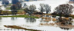 Naturgewalt. So sieht es aus, wenn die Oder bei Hochwasser über die Ufer tritt und das gesamte Vorland bis zu den Deichen überschwemmt wird. Unser Foto zeigt den brandenburgischen Ort Lebus (Märkisch-Oderland).