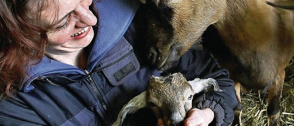 Alles für den Käse. Gela Angermann vom Karolinenhof, füttert ein Zicklein mit der Flasche. 55 000 Liter Ziegenmilch werden zu 20 Sorten Käse verarbeitet.