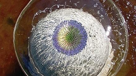 Wasserspeier mit Distel: Das Titelbild zur Ausstellung Elemente.