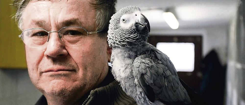Hans-Jürgen Fengler posiert mit dem Graupapagei Julchen auf der Schulter.