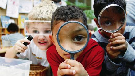 Kindergeschrei ist Zukunftsmusik. Brandenburg hat den schlechtesten Personalschlüssel bundesweit in den Kindergärten. Da das Land, dass 25 Prozent der Personalkosten trägt, nichts ändern will, versucht Potsdam das Projekt im Alleingang.