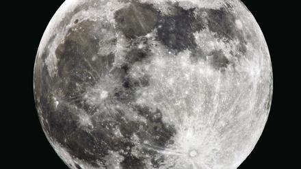 400 Jahre nach ersten Entdeckungen mit Teleskopen findet das Jahr der Astronomie statt. Das Bild zeigt den Vollmond vom 10. Januar über Brandenburg.