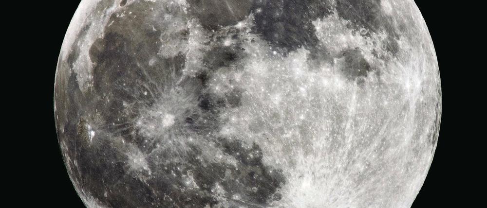 400 Jahre nach ersten Entdeckungen mit Teleskopen findet das Jahr der Astronomie statt. Das Bild zeigt den Vollmond vom 10. Januar über Brandenburg.