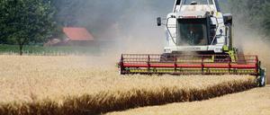 Grüne Masse. Biomasse gewinnt zunehmend an Bedeutung.