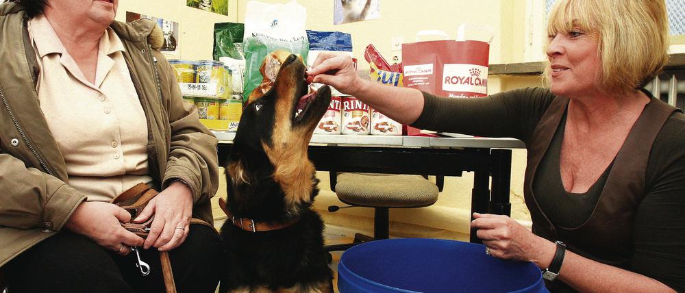 Gabriele Daubas (r.), Leiterin der Potsdamer Tiertafel, füttert die Mischlingshündin Cindy von Sigrid Galinski in der Ausgabestelle. Morgen eröffnet offiziell in Potsdam eine weitere Ausgabestelle der Tiertafel.