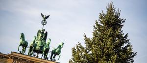 Die große Weihnachtstanne vor dem Brandenburger Tor. (Archivfoto)