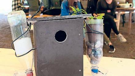 Wiederverwendet. Die Schüler bauten unter anderem Vogelhäuser.