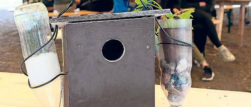 Wiederverwendet. Die Schüler bauten unter anderem Vogelhäuser.