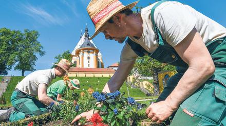 Einzigartiger Ort. Das Kloster Neuzelle ist das einzige vollständig und einschließlich der Außenanlagen erhaltene Zisterzienserkloster Brandenburgs und eine der wenigen unzerstörten Klosteranlagen in Deutschland und Europa. Gärtnermeister Ralf Mainz und seine Kollegen pflanzen im dortigen Abtgarten Sommerblumen.