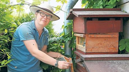 Völkerkunde. Imkerin Claudia Brandis ist Vorsitzende des Potsdamer Imkervereins, den es seit 160 Jahren gibt. Die Honigbienen haben mit allerlei zu kämpfen: Pestiziden, Monokulturen, Schädlingen und Futterkonkurrenten.