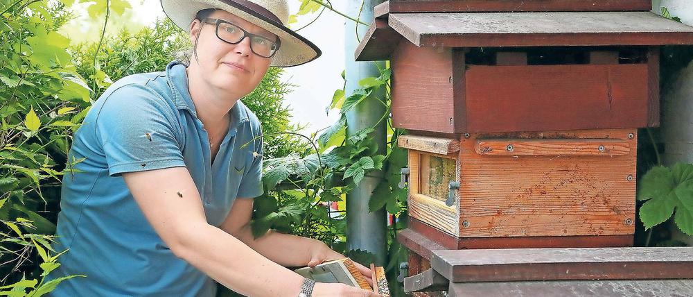 Völkerkunde. Imkerin Claudia Brandis ist Vorsitzende des Potsdamer Imkervereins, den es seit 160 Jahren gibt. Die Honigbienen haben mit allerlei zu kämpfen: Pestiziden, Monokulturen, Schädlingen und Futterkonkurrenten.
