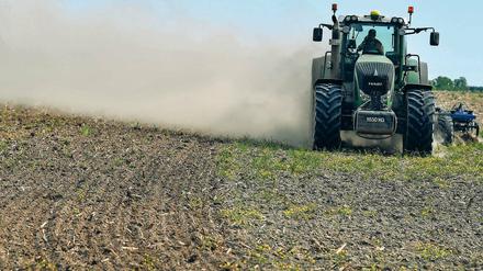 Staub aufgewirbelt. Landwirte in der Region haben mit dem ungewöhnlich heißen und trockenen Mai zu kämpfen. Den meisten Pflanzen bekommt die Wärme und Trockenheit nicht. Einzig dem Spargel machen die Sommertemperaturen nichts aus – er wächst vielmehr schneller, was die Liebhaber des Gemüses freut.