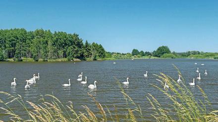 Keine Seenot. Die Gewässer in Brandenburg sind sauber.