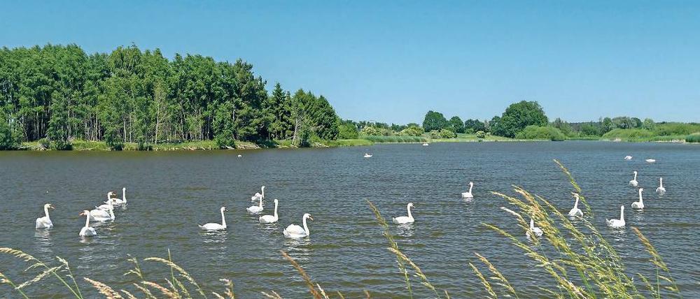 Keine Seenot. Die Gewässer in Brandenburg sind sauber.