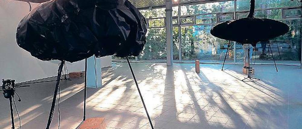 Abflug. Im Reich der fernen Stimmen.