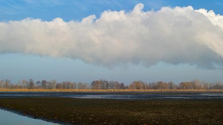 So viel Treibhausgase freigesetzt wie nie: Das Vattenfall-Kraftwerk im südbrandenburgischen Jänschwalde (Spree-Neiße) ist mit einer installierten Leistung von 3.000 Megawatt nach Firmenangaben das größte seiner Art in Deutschland und nach Angaben von Greenpeace eines der schmutzigsten.