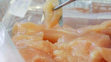 Knapp acht Prozent der Hähnchen haben Salmonellen == ARCHIV - In einem Labor des Staatlichen Veterinäruntersuchungsamtes in Fast acht Prozent der Hähnchen im Handel sind mit Salmonellen belastet - das haben Kontrollen der Länder ergeben. In frischem Hähnchenfleisch seien im vergangenen Jahr deutlich mehr Salmonellen nachgewiesen worden als bei Putenfleisch und Hackfleisch vom Schwein, teilte das Bundesamt für Verbraucherschutz und Lebensmittelsicherheit am 28.10.2010 in Berlin mit.