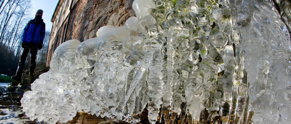 Völlig vereist ist das Ufer an einem kleinen Bachan der Madlitzer Mühle im gleichnamigen brandenburgischen Ort im Oder-Spree-Kreis. Das stabile Hochdruckgebiet über Sibirien sorgt in Deutschland weiter für trockenes und sehr kaltes Wetter. Bis zum Freitag sollen die Temperaturen weiter auf zweistellige Minusgrade sinken.